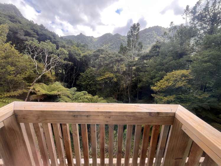 Whatipu Road Huia_22