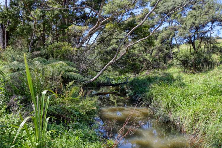 46b Echo Valley Road Mangawhai_19