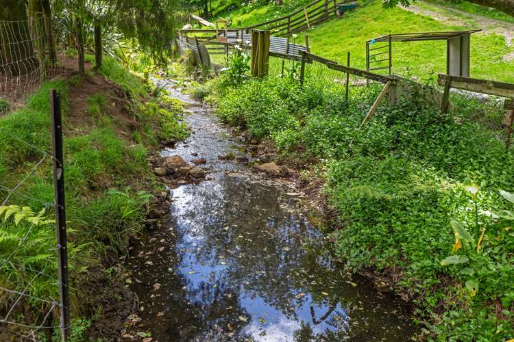 11 Tui Street Te Puke_16