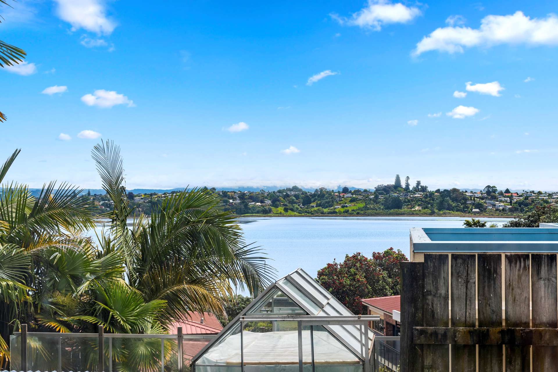2/110 Hamilton Street Tauranga Central_0