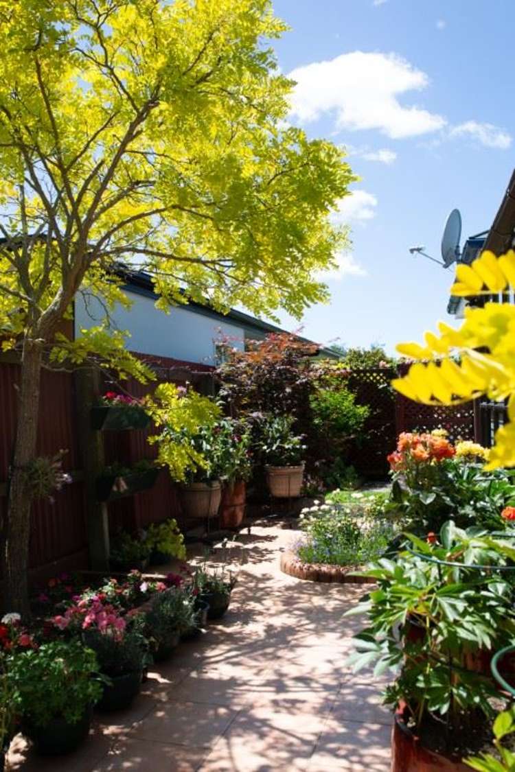 16 Landsdowne Terrace Cashmere_28