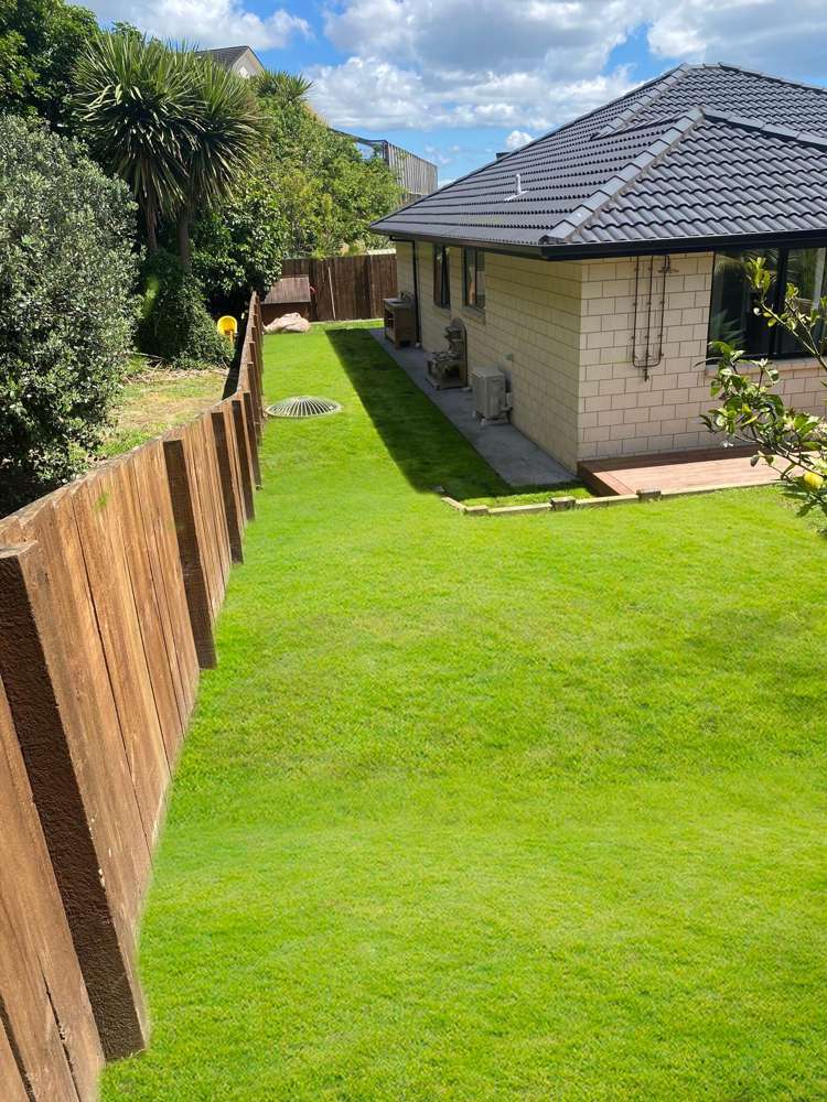 14 Winspear Place Omokoroa_17