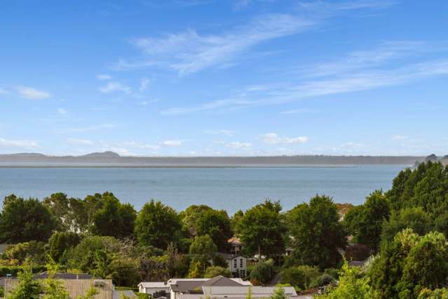 86 Bert Wall Drive Omokoroa_3