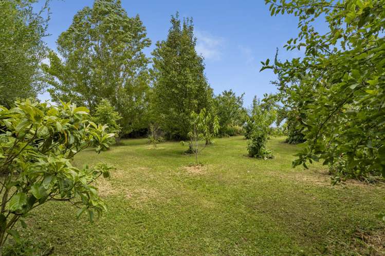 60 Thompsons Road Pahiatua_22