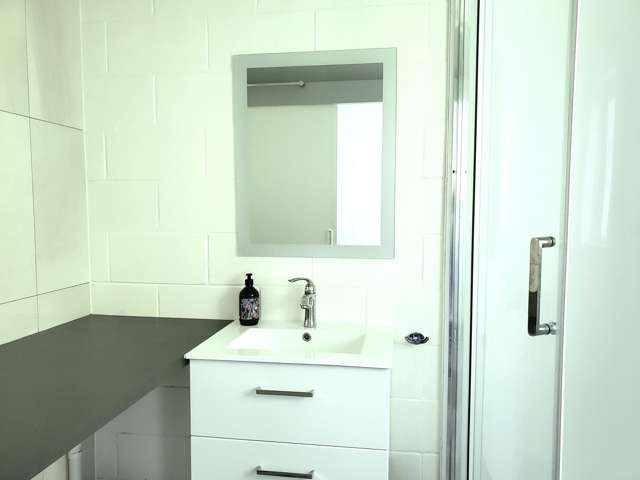 9/16 Bellevue Rd Mount Eden_3