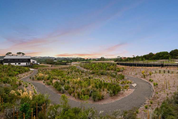 13 Te Ara Tu Para Albany_30