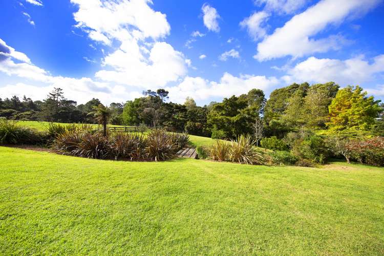 236 Blackbridge Road Dairy Flat_24