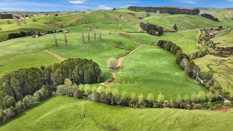 40 Turitea Road Otorohanga_23