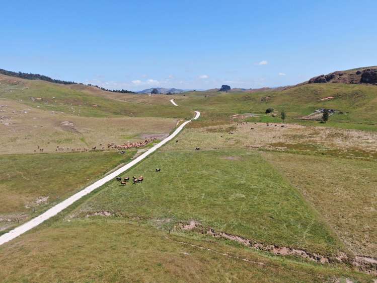 Kahuwera Road Piopio_8