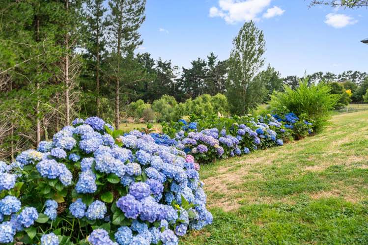 117M Lees Pakaraka Road Masterton_23