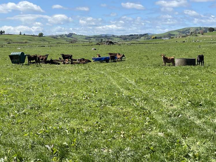 27 Mcrae Road Otorohanga_8