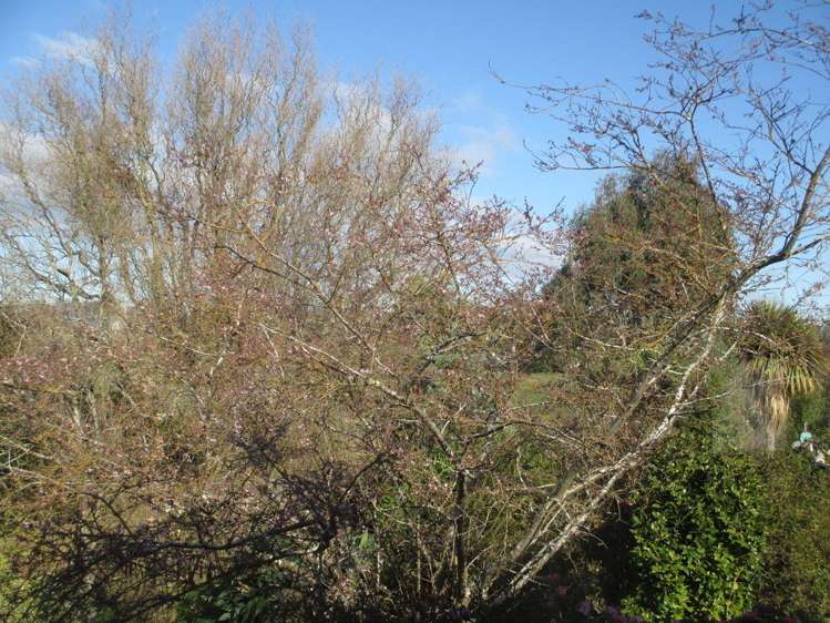 14 Wilson Road Balclutha_18