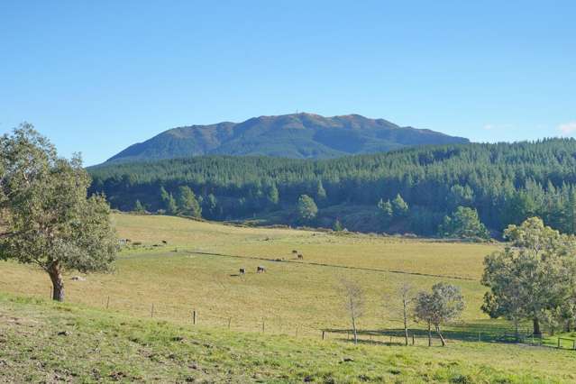 Lot 2/480 Cramptons Bush Road Broomfield_1