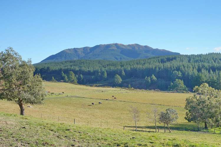 Lot 2/480 Cramptons Bush Road Broomfield_1