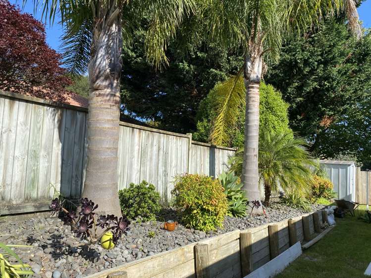 25 Pelorus Street Welcome Bay_16