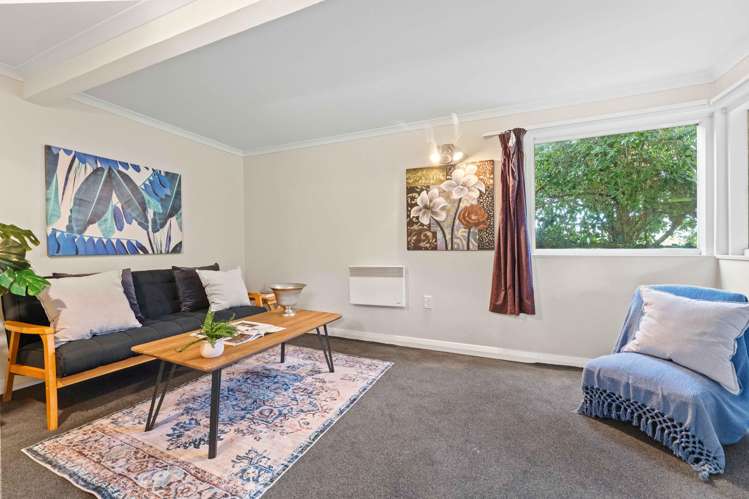 141 Jeffery Street Andersons Bay_24