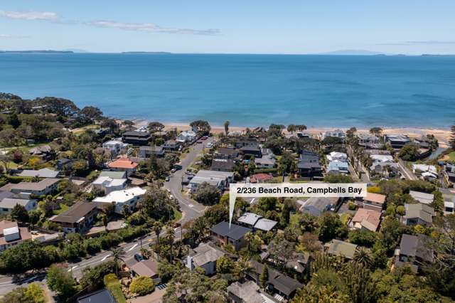 2/236 Beach Road Campbells Bay_2