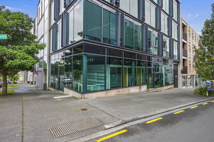 5 Crummer Road Grey Lynn_13