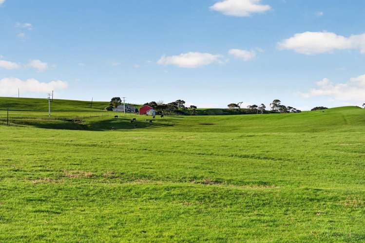 55 Coster Road Muriwai_8
