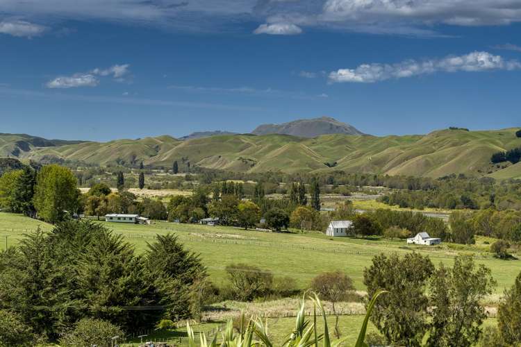 2564 Middle Road Poukawa_3