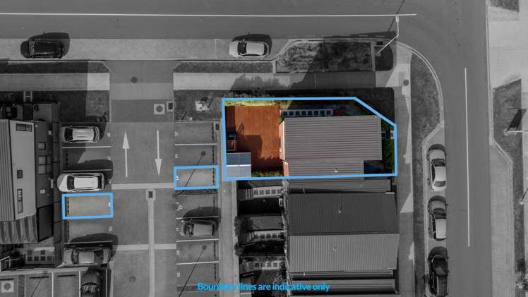 28 Treeline Lane Flat Bush_13