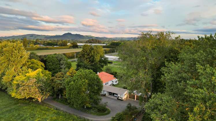 509 Marychurch Road Matangi_36