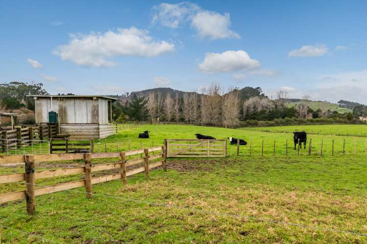 961 Tauhoa Road Kaipara Flats_31