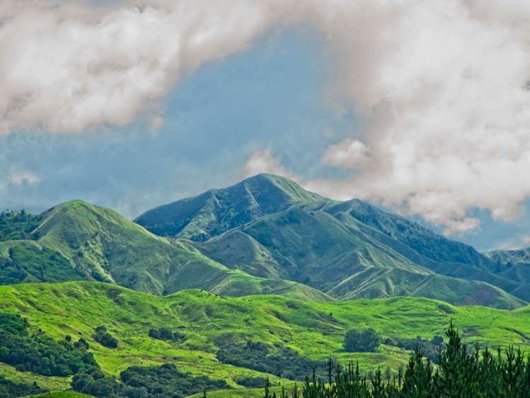 276 Gaddums Hill Road Outer Kaiti_4