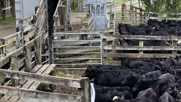 Millars Road Carterton_9