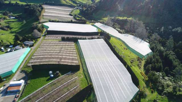 36B Demeter Road Te Puke_2