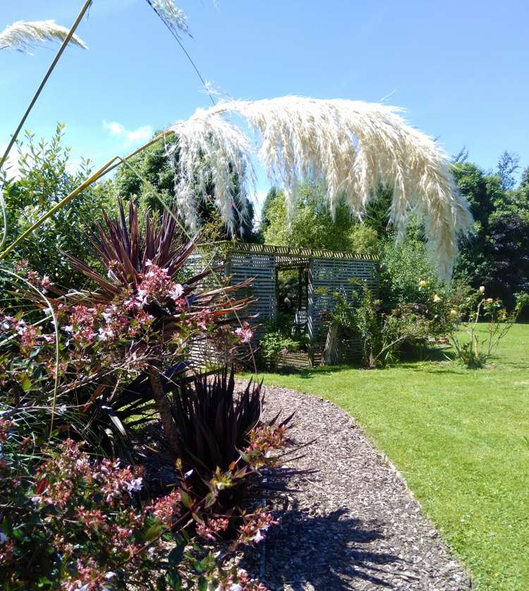 23 Goodwood Road Palmerston_26