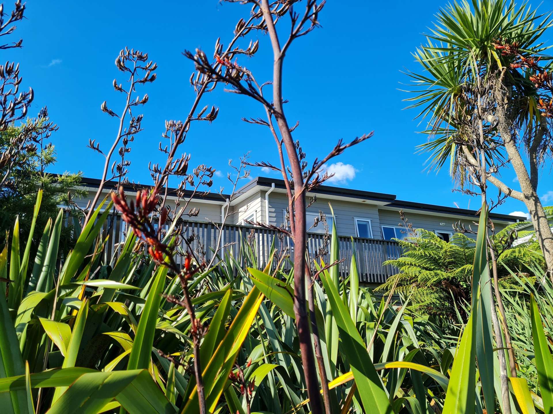 25 Robertson Street Raglan_0