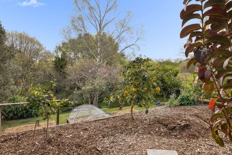 45 Acornia Close Ohauiti_33