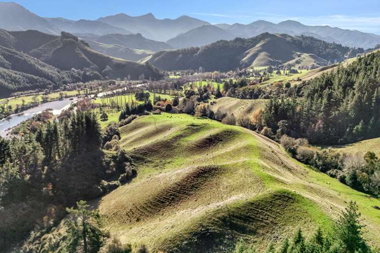 2377 Motueka Valley Highway Woodstock_30