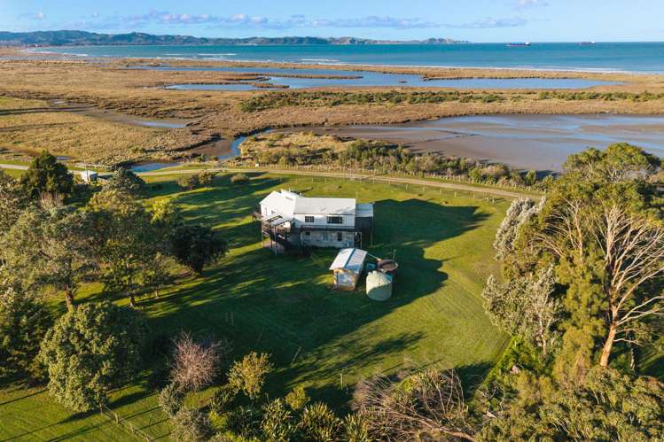 209 Browns Beach Road Muriwai_29