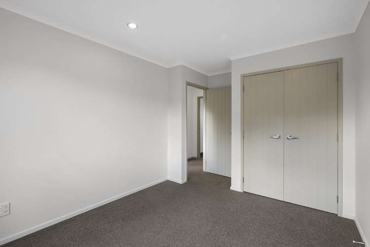 15C Charlemont Street Whitiora_13