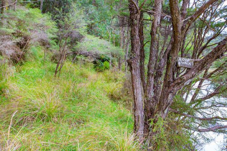 686 Te Papatapu Road Raglan_22