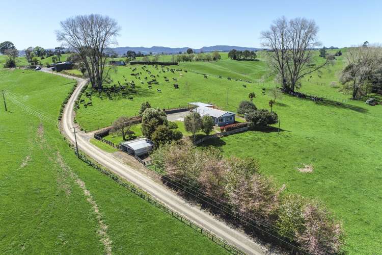 457 State Highway 5 Tapapa_7