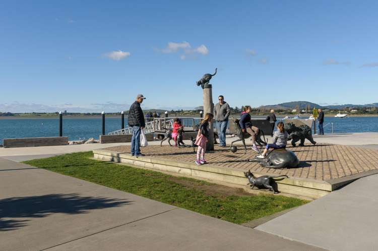 30A Selwyn Street Tauranga Central_12
