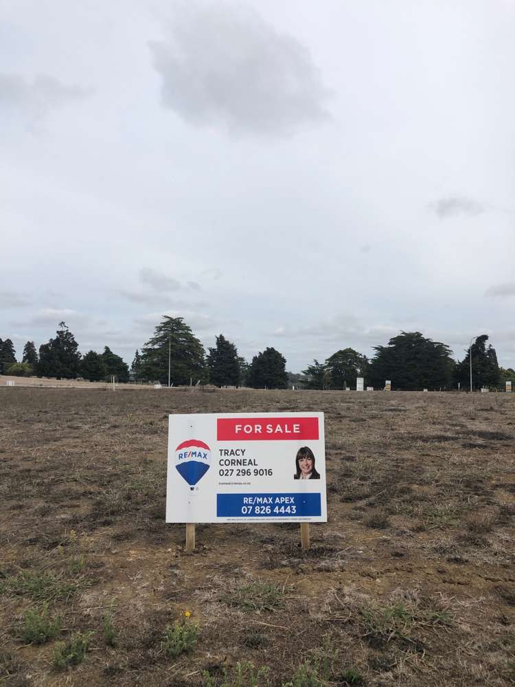 Swan Road Te Kauwhata_19