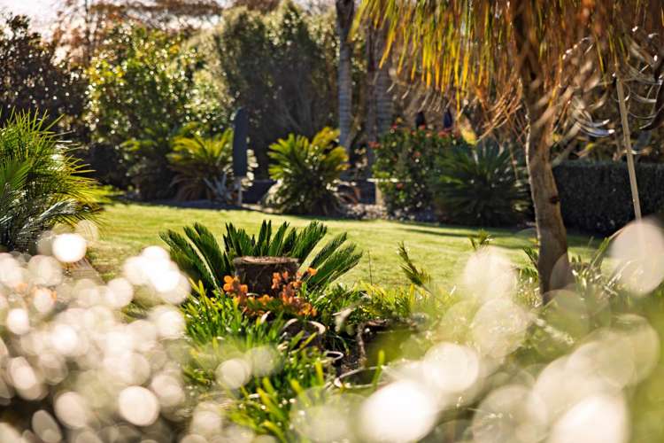 8 Silkwood Way Tauriko_6