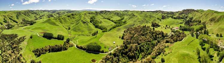 34 O’Neills Road Kakatahi_27