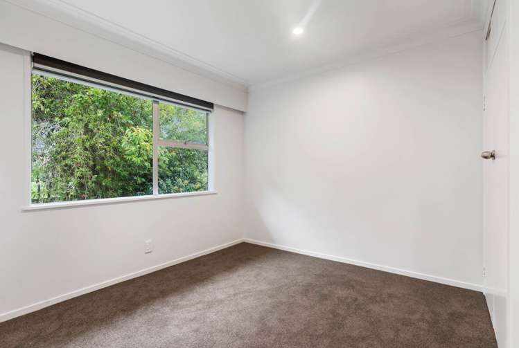 5/6 Kakariki Avenue Mt Eden_9