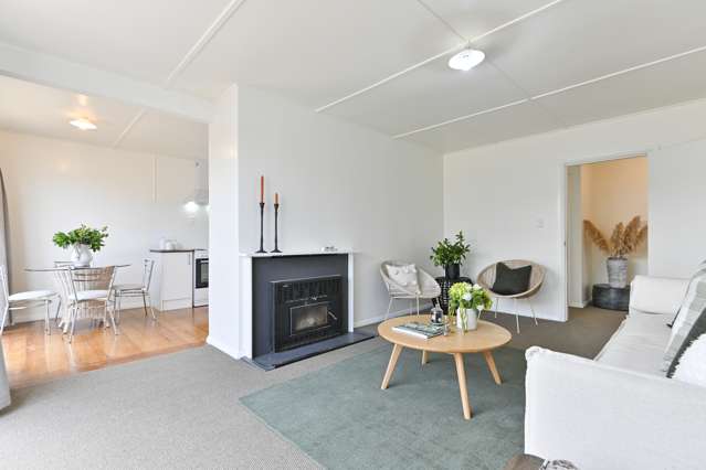 500 Hinau Street Saint Leonards_3