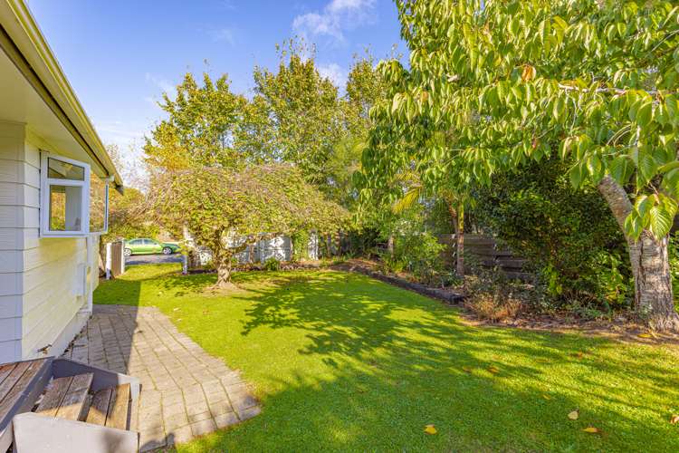 153 Mount View Road Bastia Hill_3