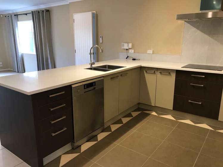 33 Janway Avenue Flat Bush_4