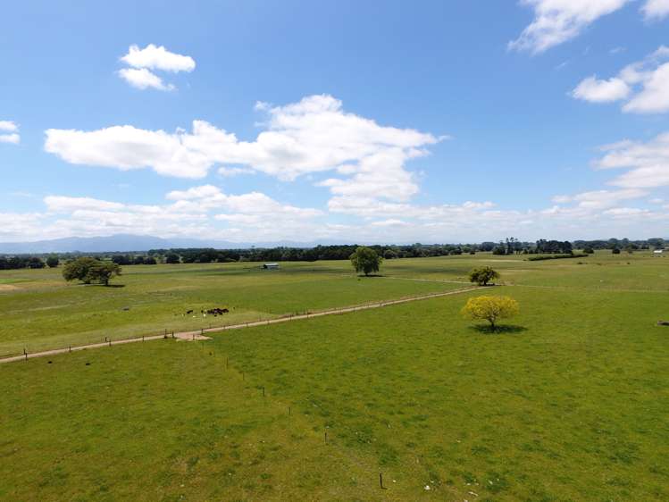 1318 Morrinsville-Tahuna Road Tahuna_8