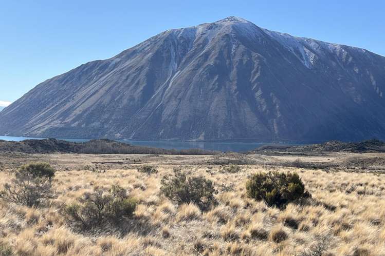 Ohau Downs Station Lake Ohau_14