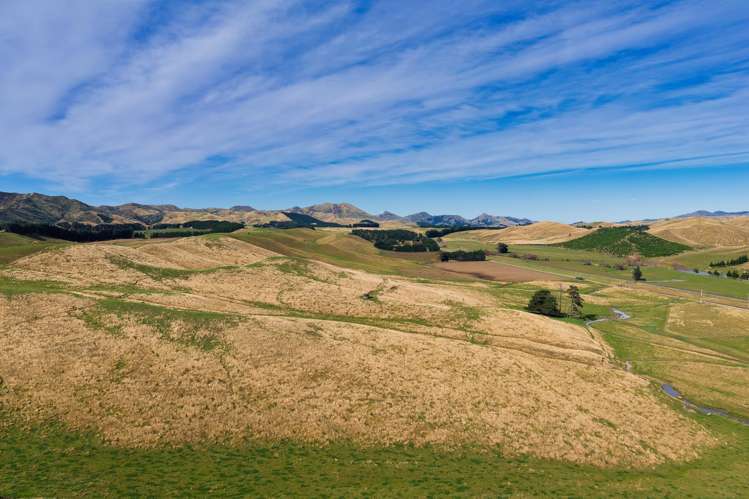 Corner Marfells Beach and Clifford Roads Lake Grassmere_17