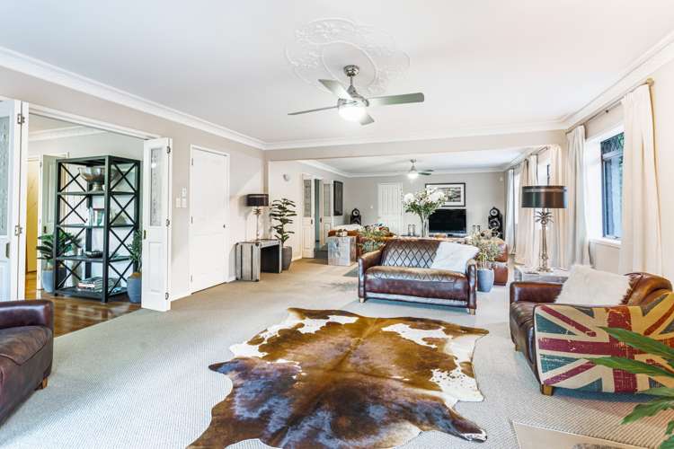 190 Lonely Track Road Dairy Flat_10